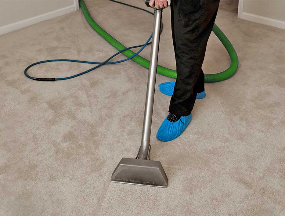 Carpet Cleaning